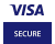 Visa Secure Logo